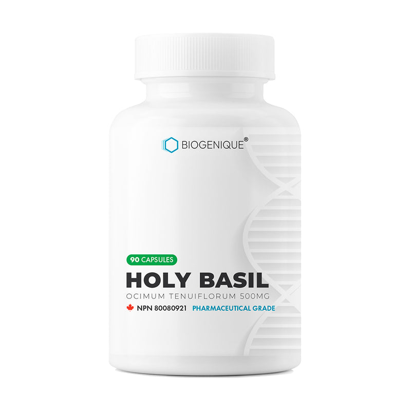 Holy basil