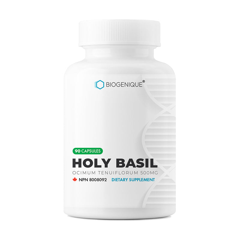 Holy basil