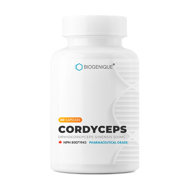 Cordyceps